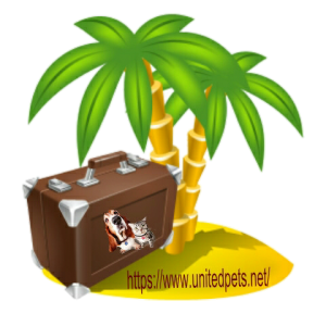 a travel case